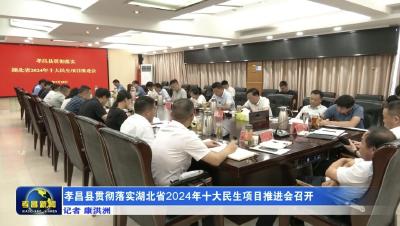 孝昌县贯彻落实湖北省2024年十大民生项目推进会召开