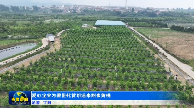 爱心企业为暑假托管班送来甜蜜黄桃