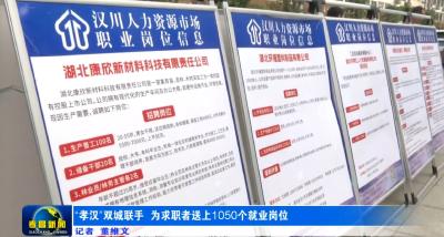 “孝汉”双城联手 为求职者送上1050个就业岗位