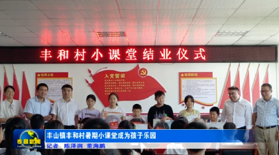 丰山镇丰和村：暑期小课堂成为孩子乐园
