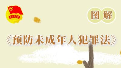 图解《中华人民共和国预防未成年人犯罪法》