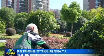 高温下的劳动者|“汗”卫城市绿色的园林工人