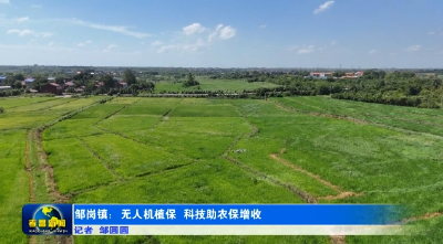 邹岗镇：无人机植保 科技助农保增收