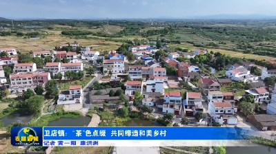 卫店镇：“茶”色点缀 共同缔造和美乡村