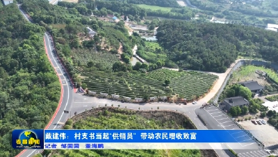 戴建伟：村支书当起“供销员” 带动农民增收致富