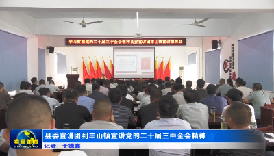 县委宣讲团到丰山镇宣讲党的二十届三中全会精神
