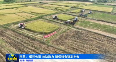 孝昌：低茬收割 技防助力 确保粮食稳定丰收