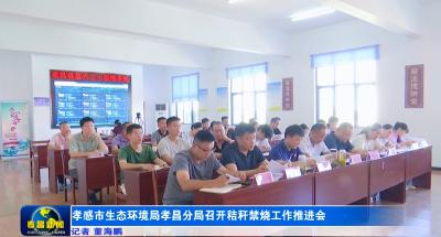 孝感市生态环境局孝昌县分局召开秸秆禁烧工作推进会