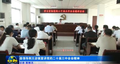 县领导到王店镇宣讲党的二十届三中全会精神 