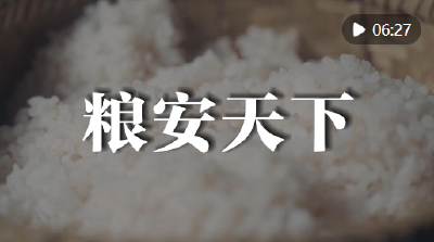 微视频 | 粮安天下