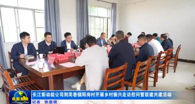 长江新动能公司到孝昌县周巷镇阳岗村开展乡村振兴走访慰问暨联建共建活动 