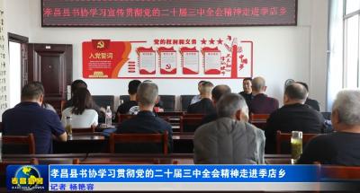 孝昌县书协学习贯彻党的二十届三中全会精神走进季店乡 