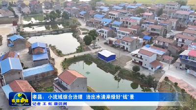 孝昌：小流域综合治理 治出水清岸绿好“钱”景