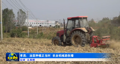 孝昌：油菜种植正当时 农业机械助秋播