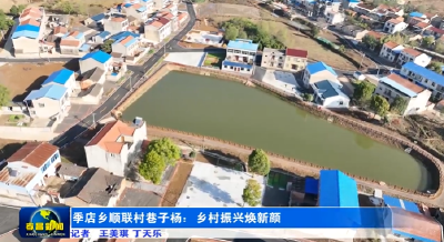 孝昌顺联村巷子杨：乡村振兴焕新颜 