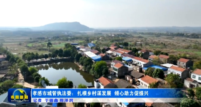 孝感市城管执法委：扎根乡村谋发展 倾心助力促振兴