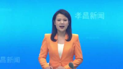 稻浪翻滚  “丰”景如画  孝昌五万亩太子稻收割忙