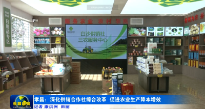 孝昌：深化供销合作社综合改革 促进农业生产降本增效