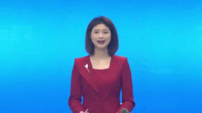 胡飞参加孝昌县第七届人民代表大会第四次会议花园代表团分组讨论
