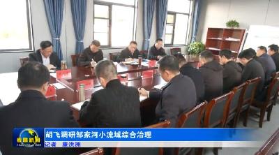 胡飞调研邹家河小流域综合治理