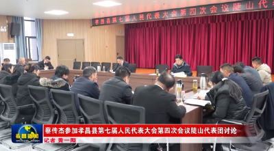 蔡传杰参加孝昌县第七届人民代表大会第四次会议陡山代表团讨论