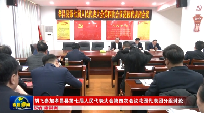 胡飞参加花园代表团分组讨论 