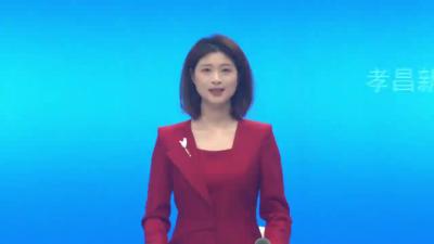 人大代表分组讨论政府工作报告、人大常委会工作报告和“两院”工作报告