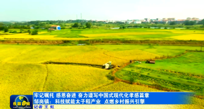 牢记嘱托 感恩奋进 奋力谱写中国式现代化孝感篇章丨孝昌邹岗：科技赋能太子稻产业 点燃乡村振兴引擎