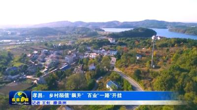 孝昌：乡村颜值“飙升”  百业“一路”开挂