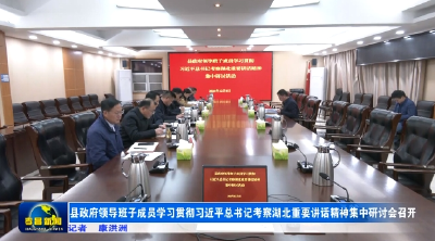 县政府领导班子成员学习贯彻习近平总书记考察湖北重要讲话精神集中研讨会召开