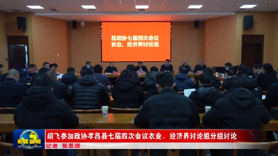 胡飞参加政协孝昌县七届四次会议农业、经济界讨论组分组讨论