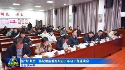 凝“青”聚力 县纪委监委组织召开年轻干部座谈会
