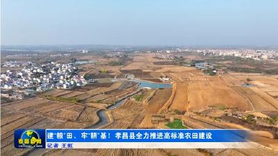 建“粮”田、牢“耕”基！孝昌全力推进高标准农田建设