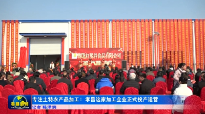 专注土特农产品加工！孝昌这家加工企业正式投产运营 
