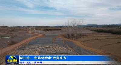 孝昌陡山：中药材种出“致富良方” 