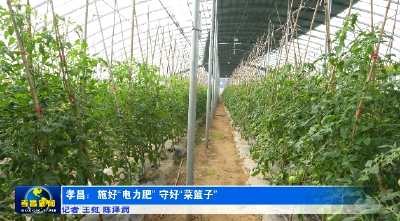 孝昌：施好“电力肥” 守好“菜篮子”