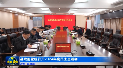县政府党组召开2024年度民主生活会