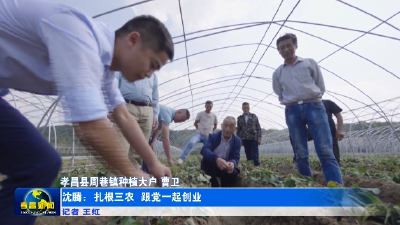 沈腾：深耕三农 共筑乡村振兴“梦里花园”