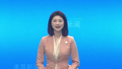 孝昌：不负春光美 茶园管护忙