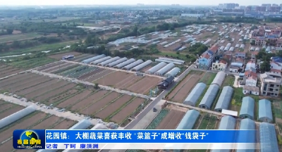 孝昌花园：大棚蔬菜喜获丰收 “菜篮子”成增收“钱袋子” 