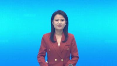 孝昌：人勤春早 苗木市场迎来销售旺季