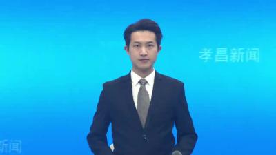 孝昌：桃园春管正当时 科技兴农展新姿