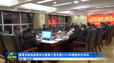 李惠芬参加县委办公室第三党支部2024年度组织生活会