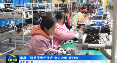 湖北惠洋电器：铆足干劲忙生产 全力冲刺“开门红”