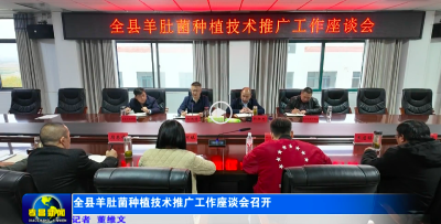 全县羊肚菌种植技术推广工作座谈会召开