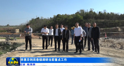 李惠芬到周巷镇调研当前重点工作