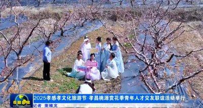 2025孝感孝文化旅游节·孝昌桃源赏花季青年人才交友联谊活动举行