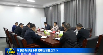 李惠芬到部分乡镇调研当前重点工作