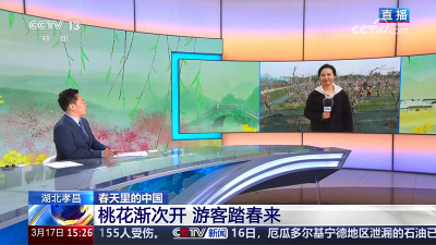 央视再度直播孝昌：桃花渐次开 游客踏春来
