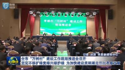 全市“万树村”建设工作现场推进会召开 坚定不移扩绿复绿兴绿护绿 为加快建设美丽湖北作出孝感贡献